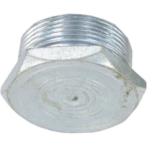 Cond Hex Plug 20mm BZP